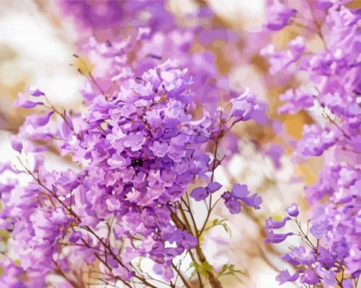 Close Up Jacaranda Tree Paint By Numbers