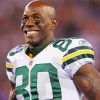 Donald Driver Player Paint By Numbers