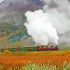 Ffestiniog Train Paint By Numbers