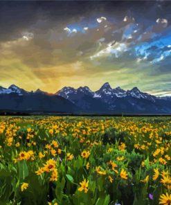 Flowers And Mountains At Sunrise Paint By Numbers