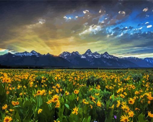 Flowers And Mountains At Sunrise Paint By Numbers