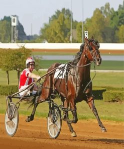 Harness Horse Race Paint By Numbers