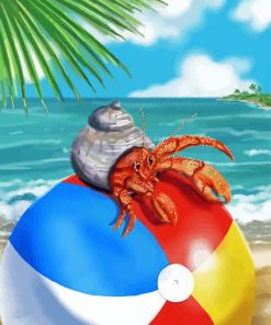 Hermit Crab On Ball Paint By Numbers