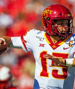 Iowa State Cyclones Team Player Paint By Numbers