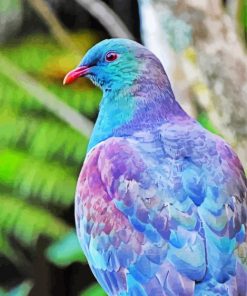 Kereru Bird Paint By Numbers