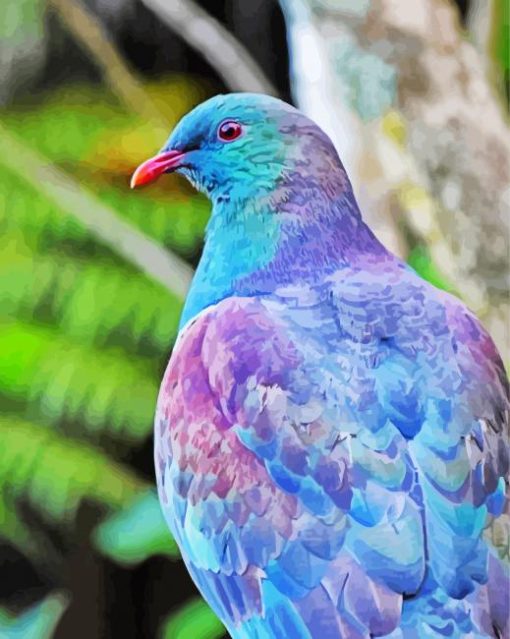 Kereru Bird Paint By Numbers