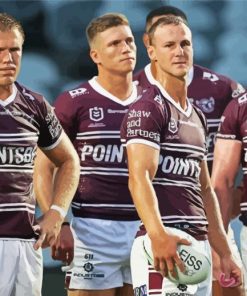 Manly NRL Paint By Numbers