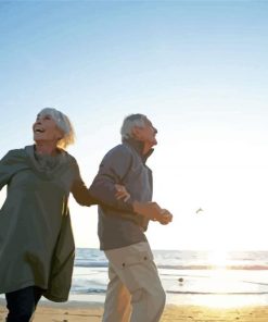 Old Couples By The Sea Paint By Numbers