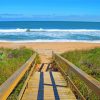 Path To The Sea Beach Paint By Numbers