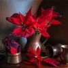 Poinsettia Flowers Still Life Paint By Numbers