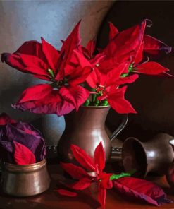 Poinsettia Flowers Still Life Paint By Numbers