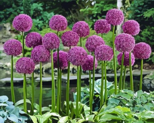 Purple Allium Plants Paint By Numbers