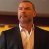 Ray Donovan Character Paint By Numbers