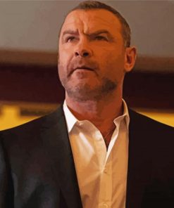 Ray Donovan Character Paint By Numbers