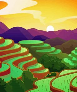 Rice Field Illustration Paint By Numbers