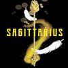 Sagittarius Sign Poster Paint By Numbers