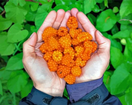 Salmonberry On Hand Paint By Numbers