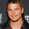 The Actor Josh Hartnett Paint By Numbers