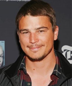 The Actor Josh Hartnett Paint By Numbers