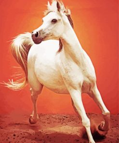 The Arabian Horse Animal Paint By Numbers