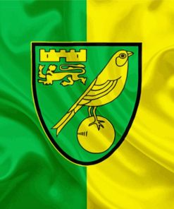 The Norwich City FC Logo Paint By Numbers