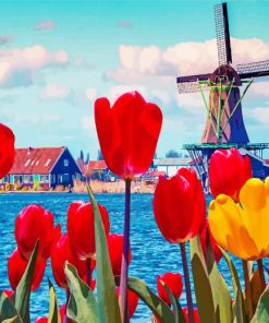 Tulpen En Molen Paint By Numbers