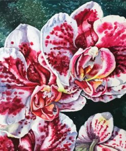 White And Pink Orchids Paint By Numbers