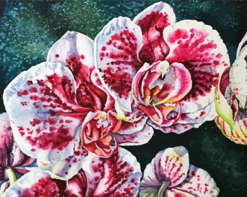 White And Pink Orchids Paint By Numbers