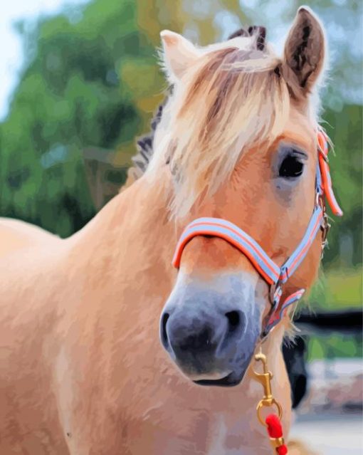 Adorable Fjord Horse Animal Paint By Numbers