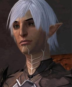 Aesthetic Fenris Paint By Numbers