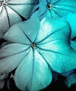 Aesthetic Turquoise Flowers Paint By Numbers