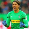 Aesthetic Yann Sommer Paint By Numbers