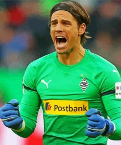 Aesthetic Yann Sommer Paint By Numbers