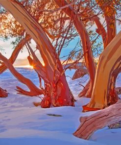 Aesthetic Snow Gums Trees Paint By Numbers