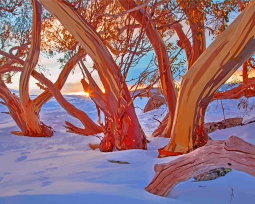 Aesthetic Snow Gums Trees Paint By Numbers