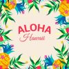 Aloha Hawaii Paint By Numbers