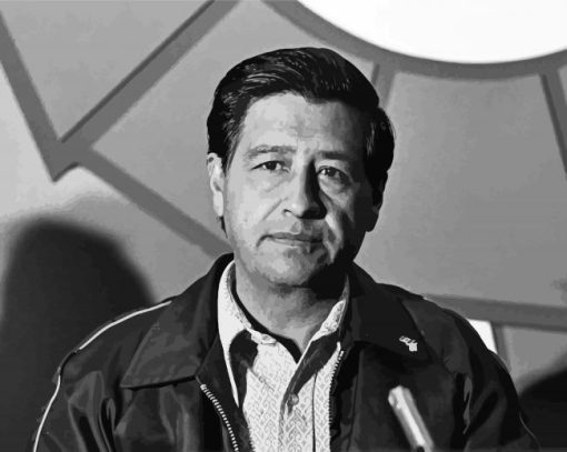 Black And White Cesar Chavez Paint By Numbers