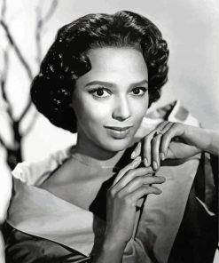 Black And White Dorothy Dandridge Paint By Numbers