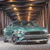 Bullitt Mustang Car Paint By Numbers