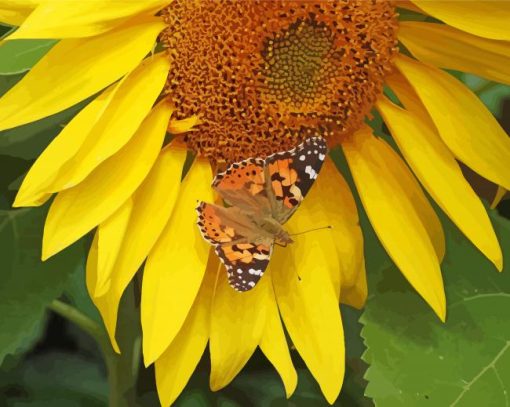 Butterfly With Sunflowers Paint By Numbers