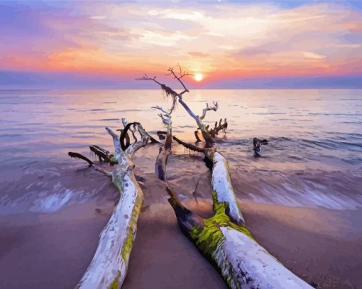 Dead Beach Tree Paint By Numbers