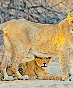 Female Lion With Cub Paint By Numbers