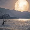 Full Moon Wanaka Tree New Zealand Paint By Numbers