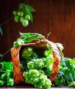 Hop Plant In Wicket Basket Paint By Numbers