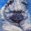 keeshond Puppy Art Paint By Numbers