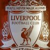 Liverpool Football Emblem Paint By Numbers