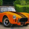 Orange Cobra Car Paint By Numbers