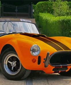 Orange Cobra Car Paint By Numbers