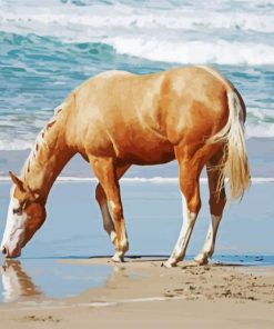 Palomino Quarter Horse At Beach Paint By Numbers