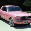 Pink 1966 Mustang Paint By Number